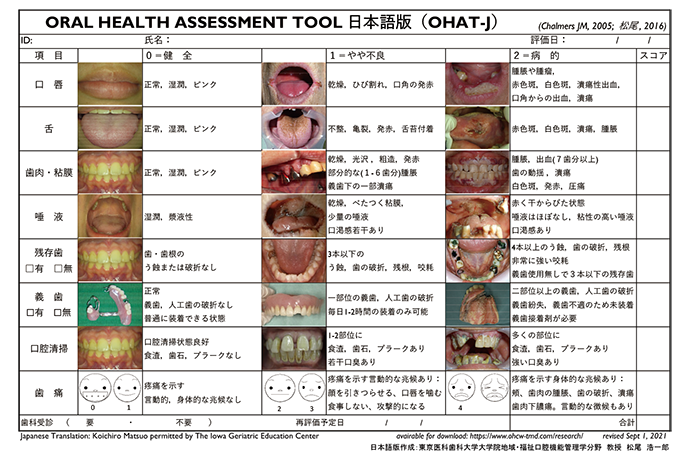 図4 OHAT-J（OHAT日本語版）